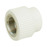 Фитинг полипропиленовый PN25 муфта ВН 20х3/4" Blue Ocean SD00006378