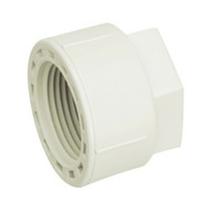 Заглушка полипропиленовая PN25 ВН 20х1/2" Blue Ocean SD00004625