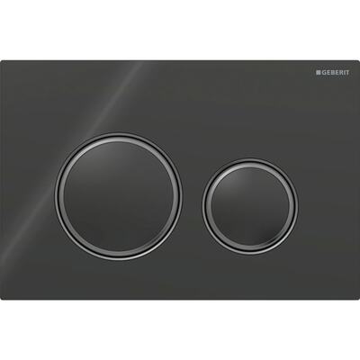 Смывная клавиша Geberit Sigma50 (ex Sigma21) для двойного смыва Round черный (115.651.SJ.1)