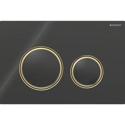 Смывная клавиша Geberit Sigma50 (ex Sigma21) для двойного смыва Round черный (115.652.SJ.1)