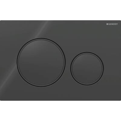 Смывная клавиша Geberit Sigma20 для двойного смыва Round черный/черный матовый (115.882.DW.1)