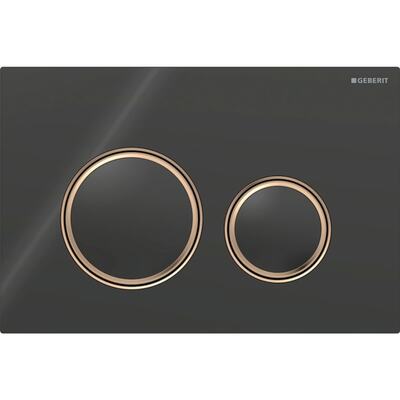 Смывная клавиша Geberit Sigma50 (ex Sigma21) для двойного смыва Round черный (115.650.SJ.1)