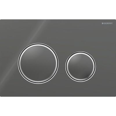 Смывная клавиша Geberit Sigma50 для двойного смыва Round металлический хромированный/лава 115.884.JK.1