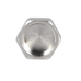 Фитинг резьбовой латунный заглушка ВН 1/2" Thermo Alliance SF35215