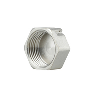 Фитинг резьбовой латунный заглушка ВН 3/4" Thermo Alliance SF35220