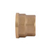 Фітинг різьбовий латунний муфта ВН 3/4"x1" Thermo Alliance SD4052025