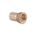 Фітинг різьбовий латунний штуцер ВН 1/2"x20 мм Thermo Alliance SD4261520