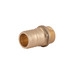 Фитинг резьбовой латунный штуцер НАР 1/2"x20 мм Thermo Alliance SD4271520